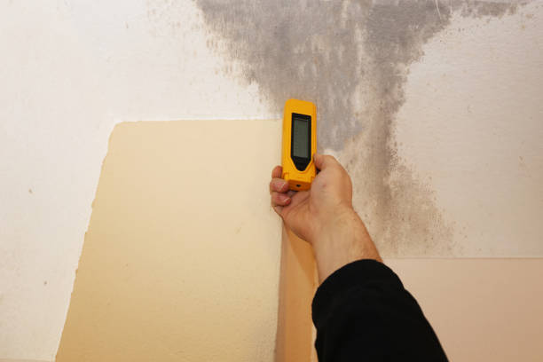 Johnstown, CO Mold Inspection, Removal & Remediation Company